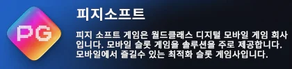 슬롯-피지소프트
